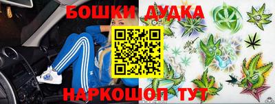 индика Нягань