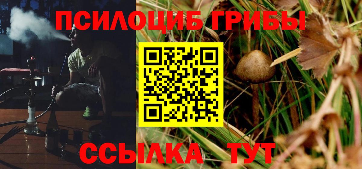 Галлюциногенные грибы GOLDEN TEACHER Советская Гавань