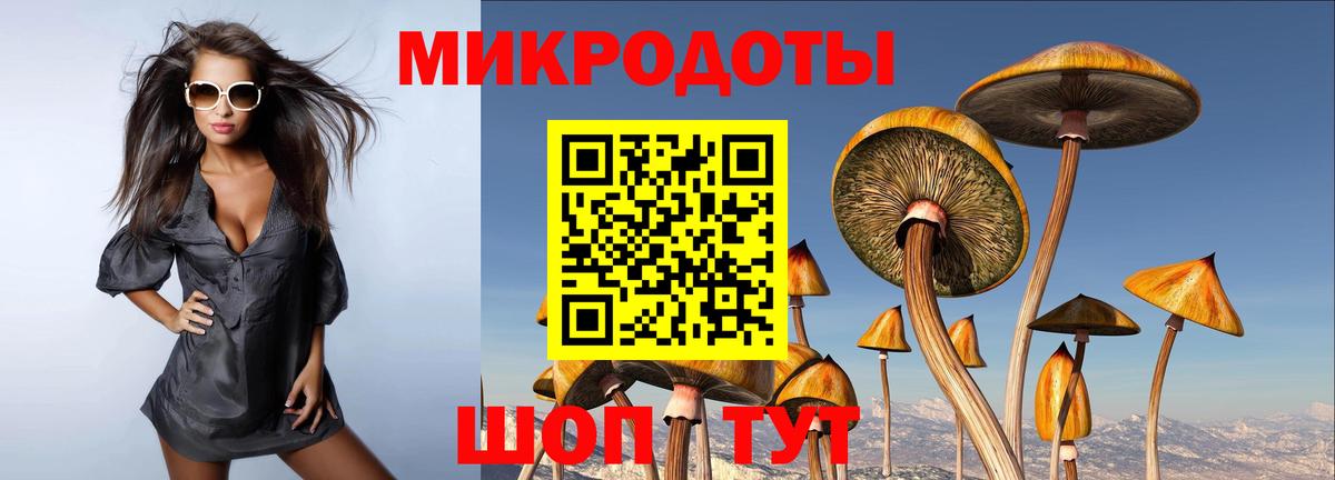 Советская Гавань  Псилоцибиновые грибы мицелий  Вход с VPN  Псилоцибиновые грибы GOLDEN TEACHER 